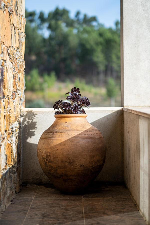 Quinta Da Palhota Βίλα Vila de Rei Εξωτερικό φωτογραφία